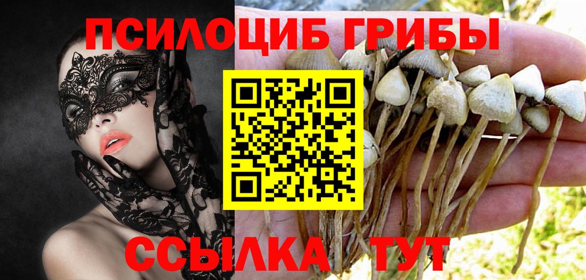 Галлюциногенные грибы мицелий Строитель